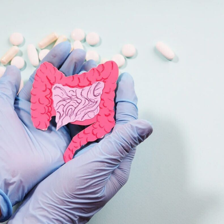Gloved hands holding a model of a gut, with medication in the background.