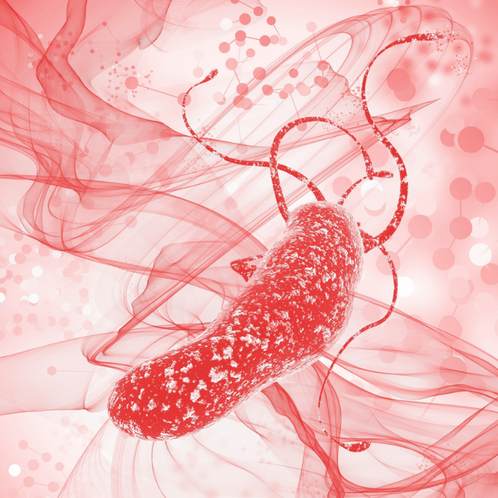 Close up of bacteria like candida, h-pylori and SIBO.